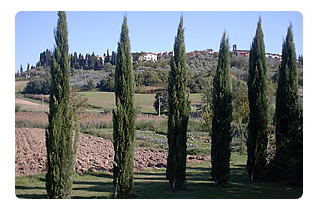 Agriturismo Toskana