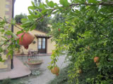 Ferienhaus Pool Toskana